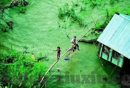 91天美麻豆-某平台上的神奇91天体验——美麻豆的独特魅力之探索