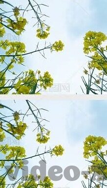 大象传媒9x视频-大象传媒9x视频，重塑娱乐体验的革新力量