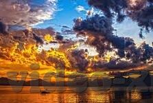 大象传媒回家地址-大象传媒，回家的故事与数字时代的温暖