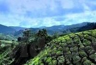 大象传媒麻豆一区在线-大象传媒与麻豆一区，网络文化的新视角