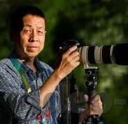 大象视频在线回家地址-探索大象视频的奇妙之旅，在线回家地址的温馨篇章