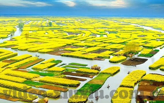 国产av一区二区三区日韩-国产影视的多元化探索，一区、二区、三区的文化与艺术视角