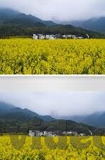 国产成人麻豆免费视频-探索国产成人麻豆免费视频的世界，真实与虚幻之间的灰色地带