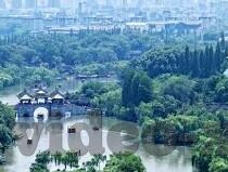 国产精品一区二区久久-国产精品一区二区，文化自信与艺术创新的交汇点