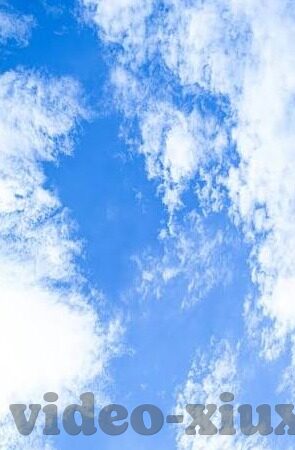 麻豆 在线视频-流量迷雾下的灰色地带，麻豆在线视频的隐秘世界