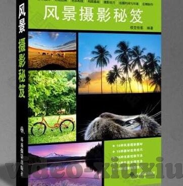 人妻无码视频一区二区三区-探索网络世界的边界，理性与审慎的对话