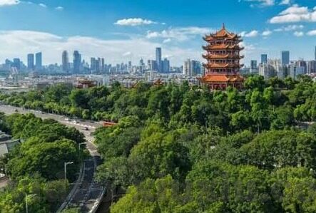 日韩av免费观看网站-探索成人娱乐的边界，日韩AV内容与网络平台的灰色地带