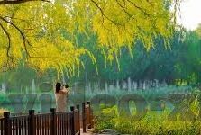 糖心app刷币-如何有效提升糖心APP内刷币效率的实操指南