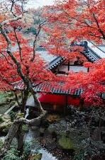 糖心vlog百度云-出发向生活的小确幸，揭秘糖心vlog的百度云之旅