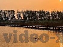 糖心v log官网最新入口-揭秘糖心Vlog，探秘最新官网入口与精彩内容指南