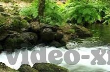 糖心vlog会员兑换码2022-甜蜜收获，解锁糖心vlog 2022会员，畅享独特视角与精彩瞬间