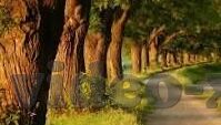 无码人妻aⅴ一区二区三区-无码人妻内容之我见，网络伦理与个人界限的深思